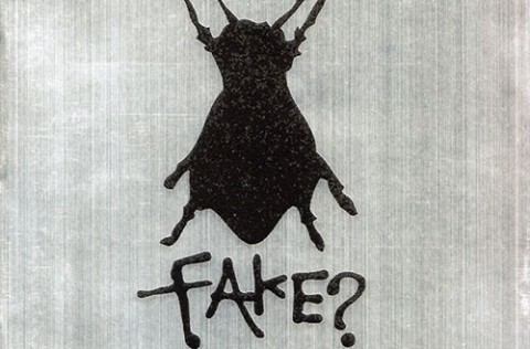 “FAKE?”